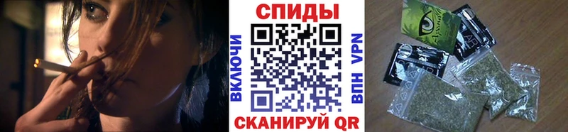 как найти   Приволжск  БУТИРАТ буратино 