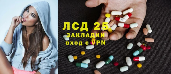 прущие грибы Армянск