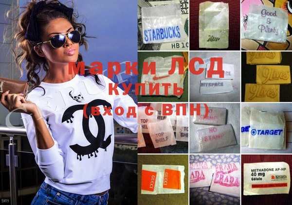 прущие грибы Армянск