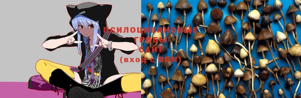 таблы Алексин