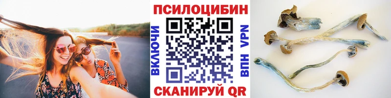 Галлюциногенные грибы мицелий Приволжск